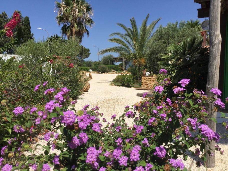 Bed and Breakfast Il Colle del Rustico Agrigento Esterno foto