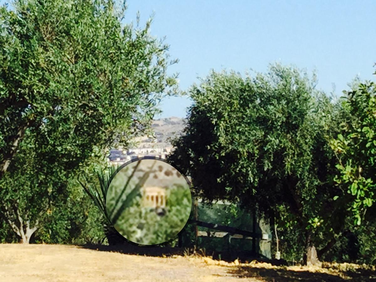 Bed and Breakfast Il Colle del Rustico Agrigento Esterno foto