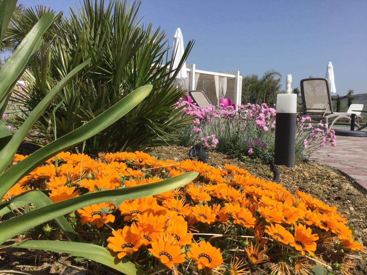 Bed and Breakfast Il Colle del Rustico Agrigento Esterno foto