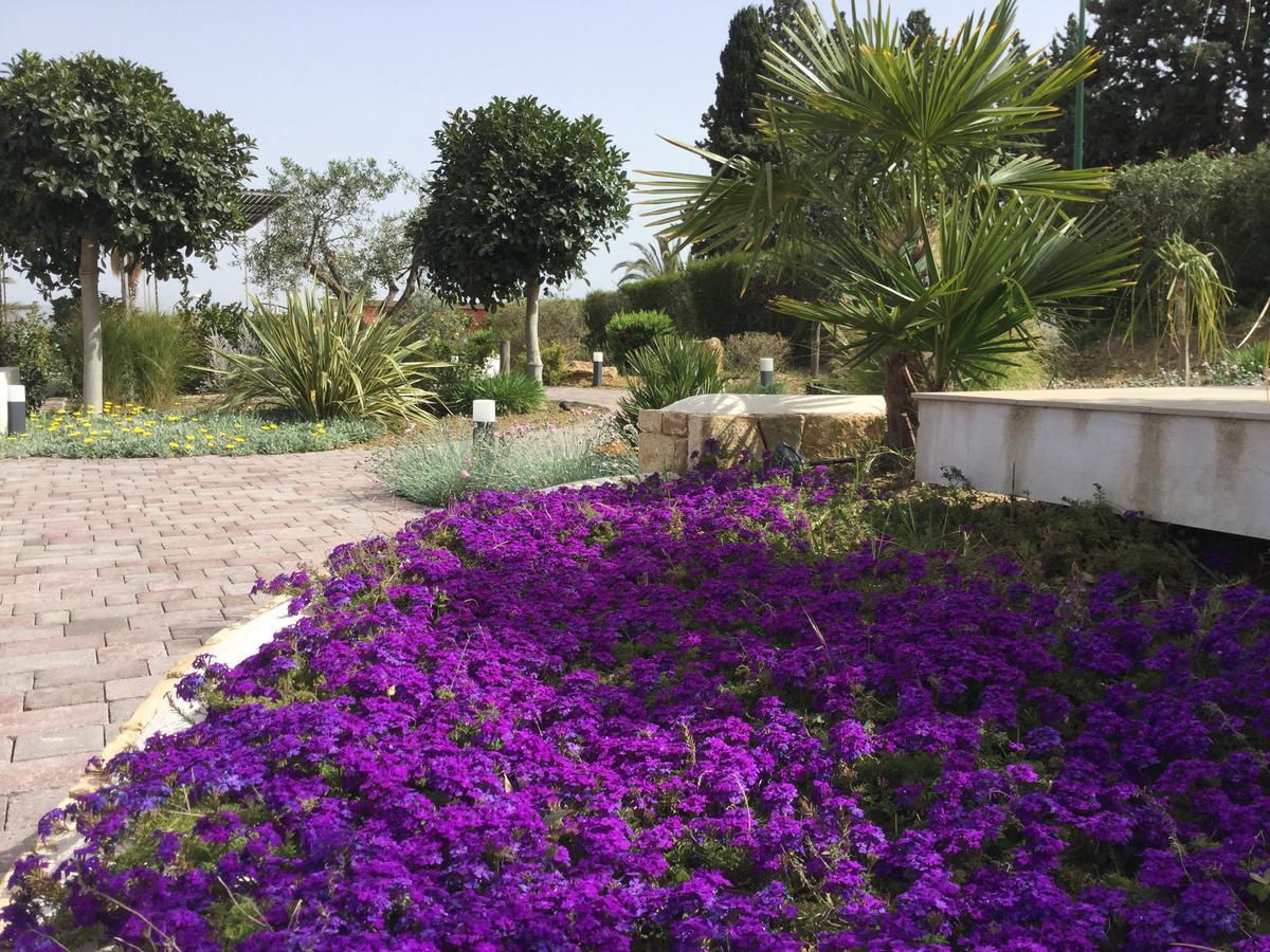 Bed and Breakfast Il Colle del Rustico Agrigento Esterno foto